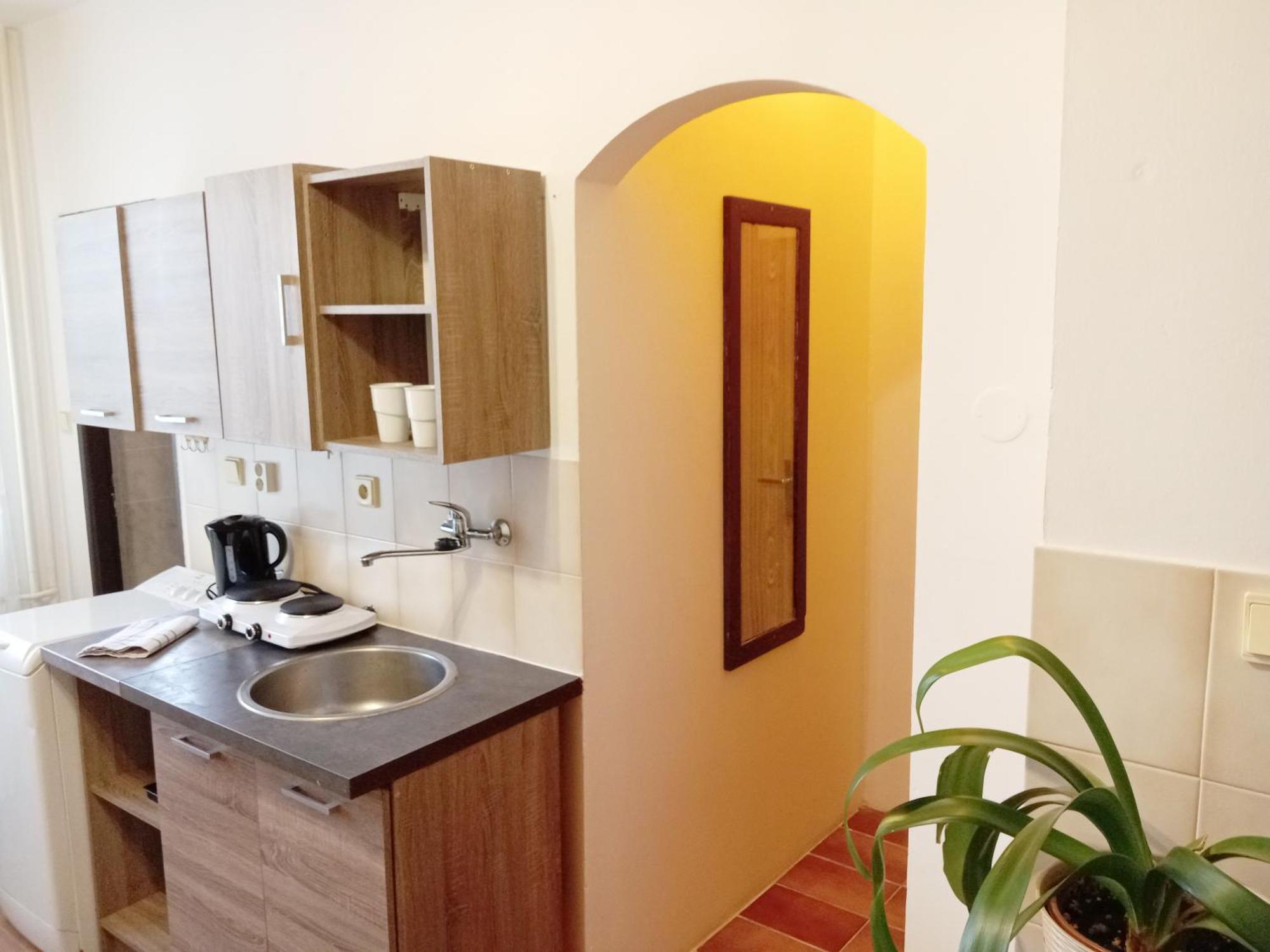 Apartments Alena - Карлови Вари Стая снимка